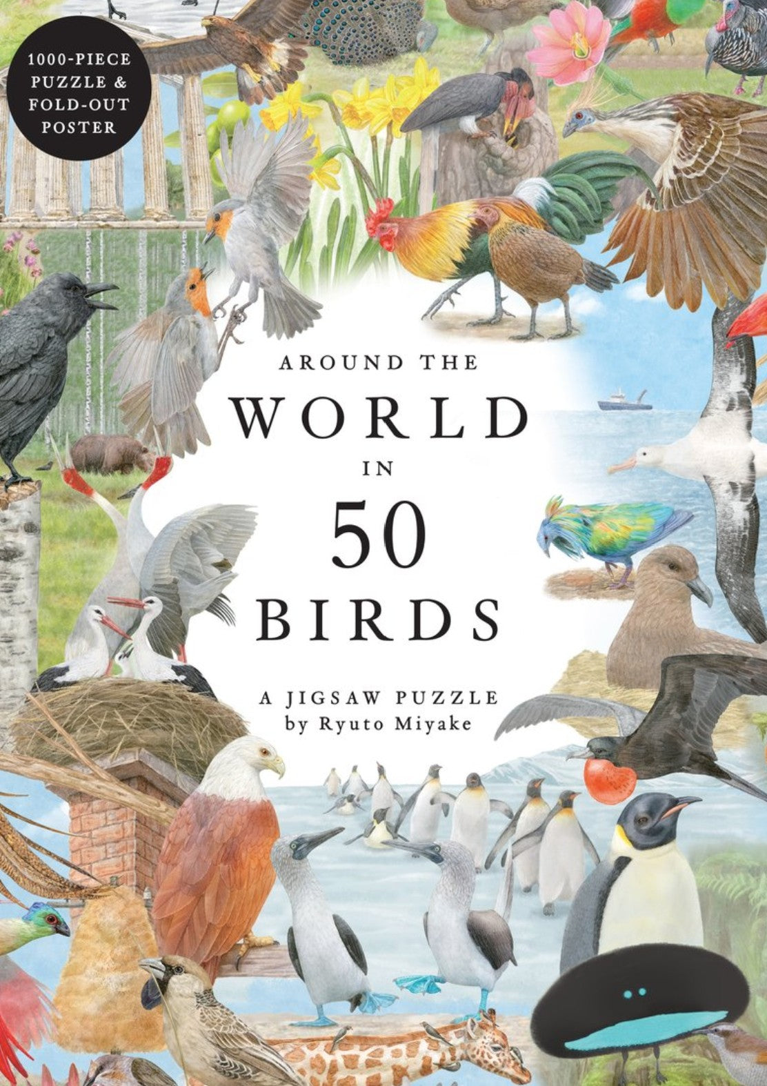 Around the World in 50 Birds Puzzle