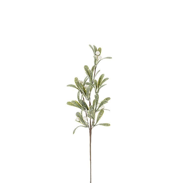 Medium Mistletoe Branch