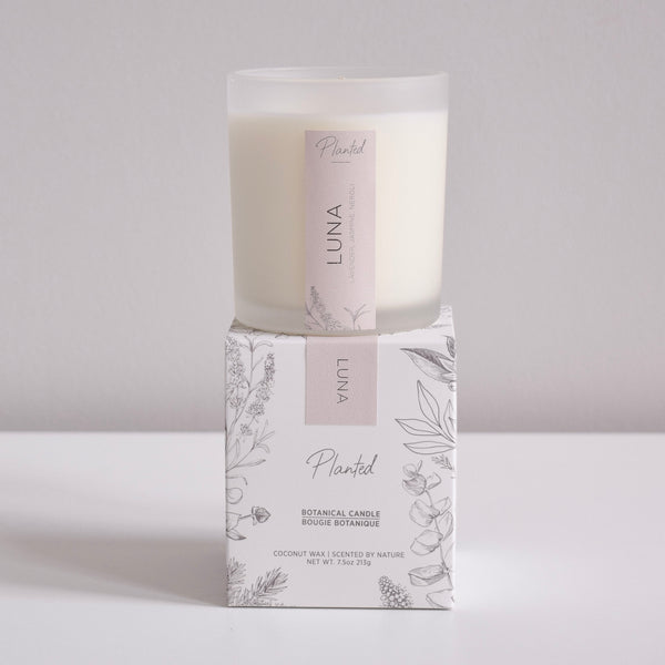 Ambre et Vanille - 8oz