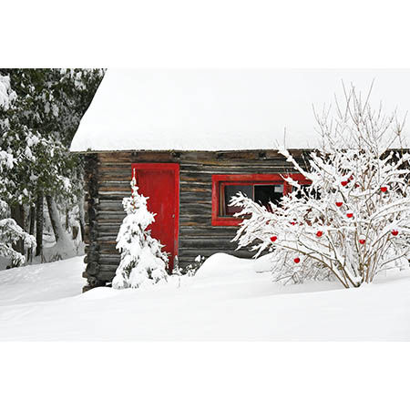 Geof Burbidge Winter Greeting Cards - Log House and Decorated Tree