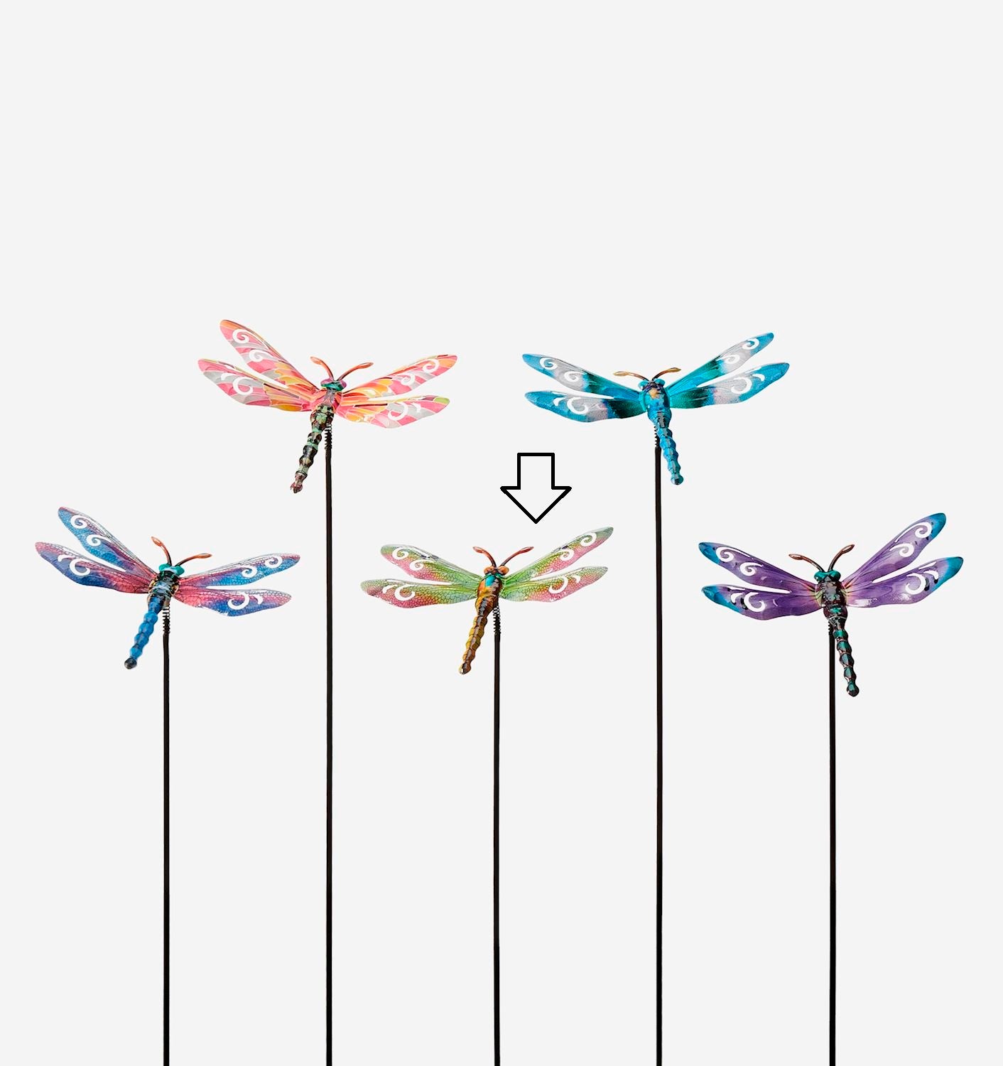 Bobble Dragonfly Plant Stake
