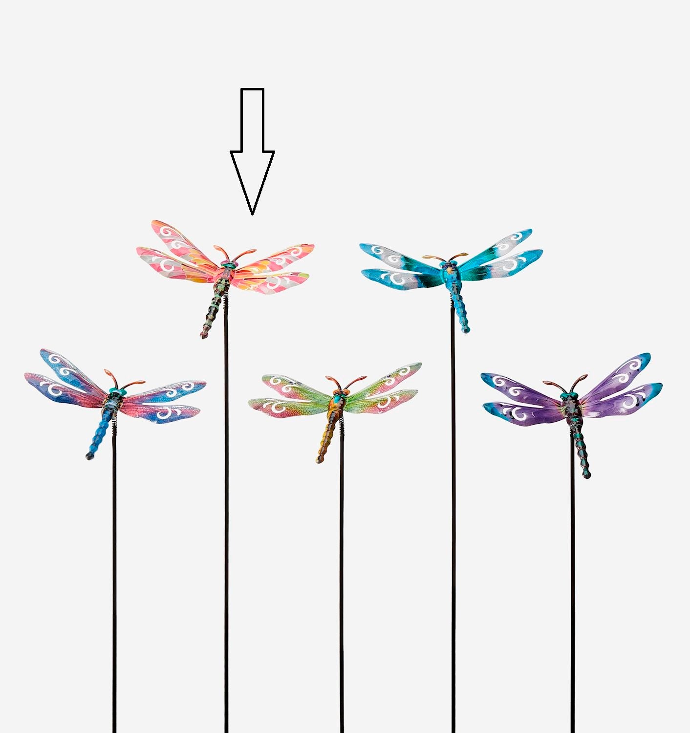 Bobble Dragonfly Plant Stake