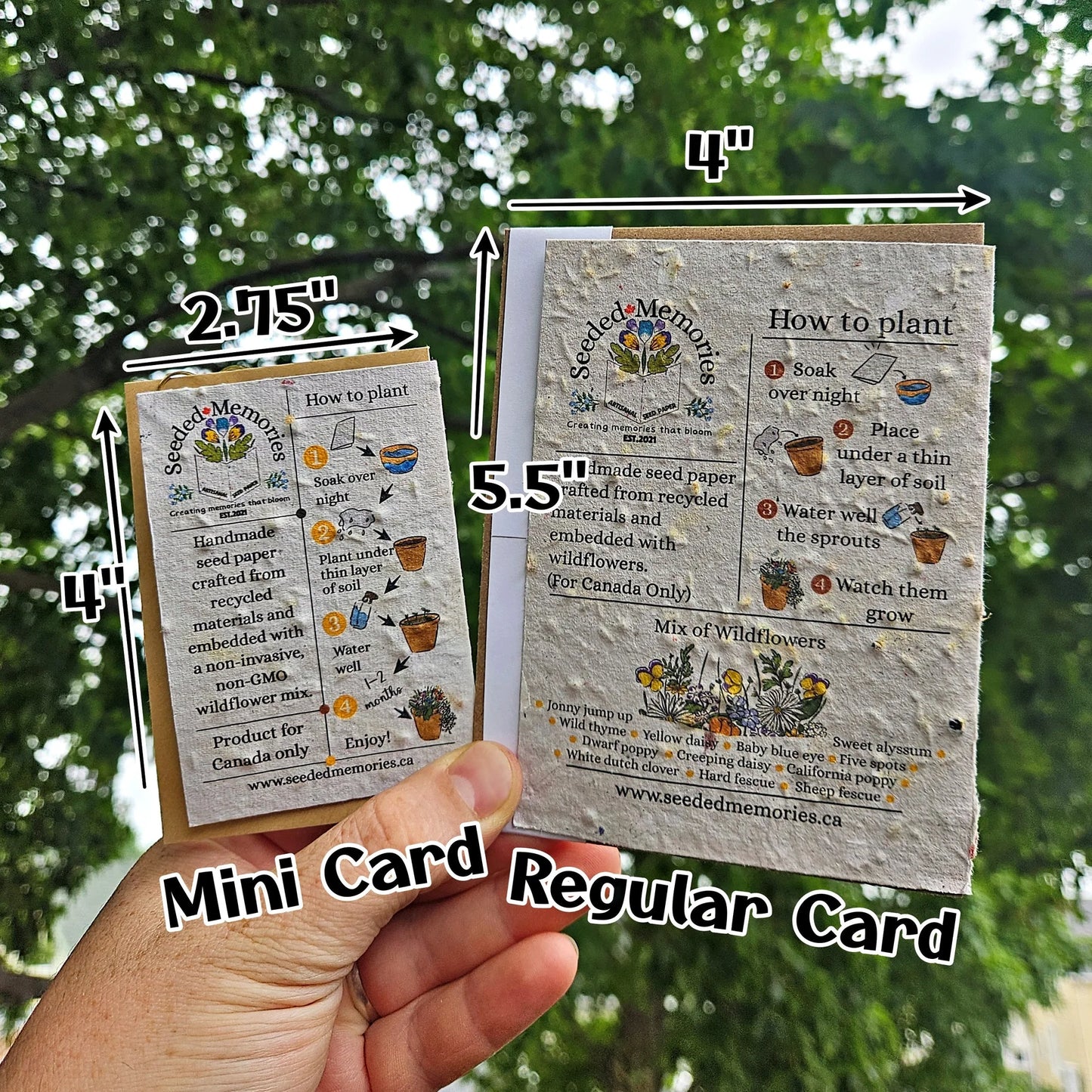 Seeded Paper Mini Card - Bee & Sunflower