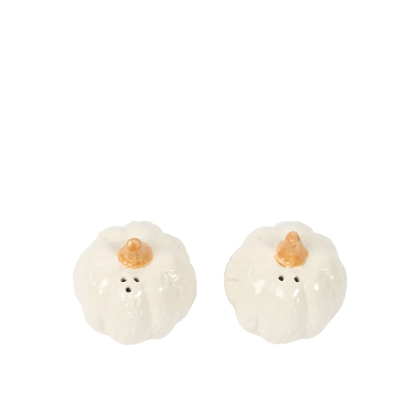 Harvest Pumpkin Salt & Pepper set