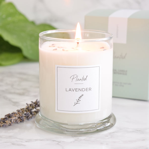 Calming Lavender 6oz