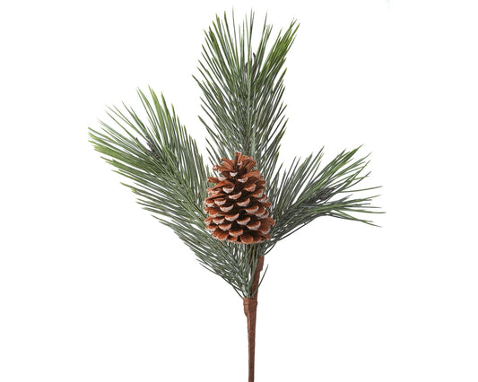 Long Needle Pine with Cone Spray
