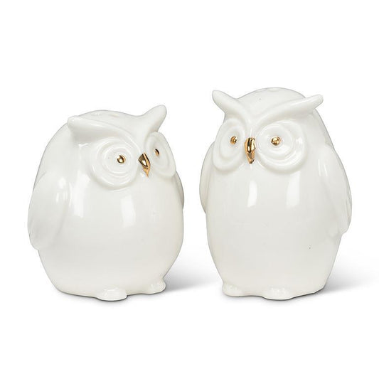 Owl Salt & Pepper Set