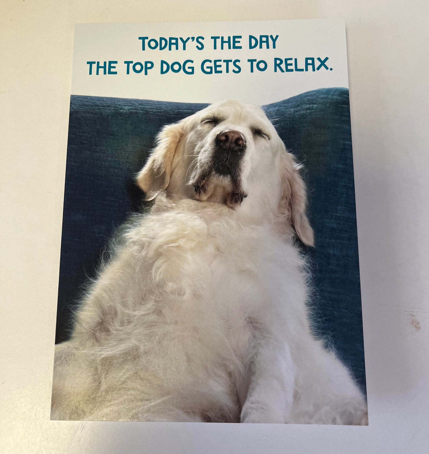 Dad Dog Napping - Father's Day Card