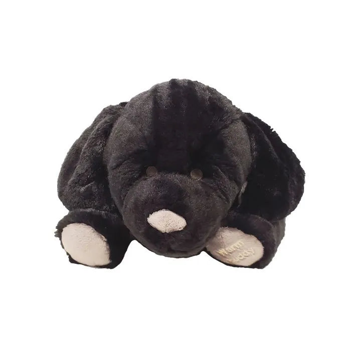 Small Labrador Puppy