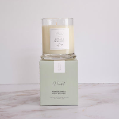 Cedar & Bergamot 9oz