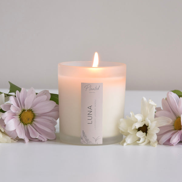 Ambre et Vanille - 8oz