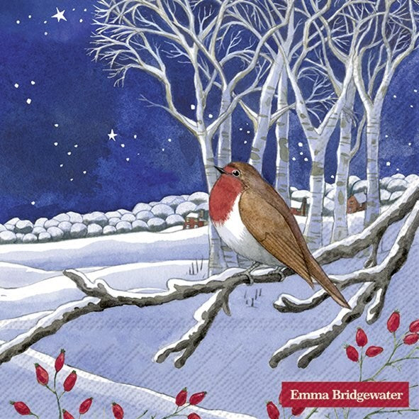 Winter & Holiday Luncheon Napkins