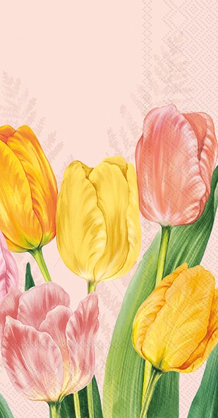 Spring/Summer Guest or Buffet Napkins