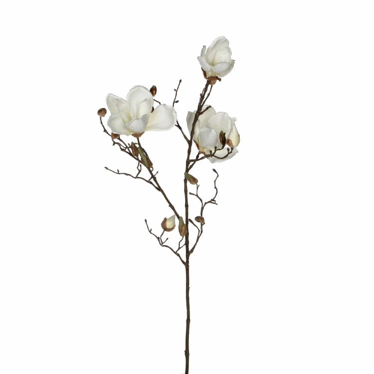 Magnolia White Large