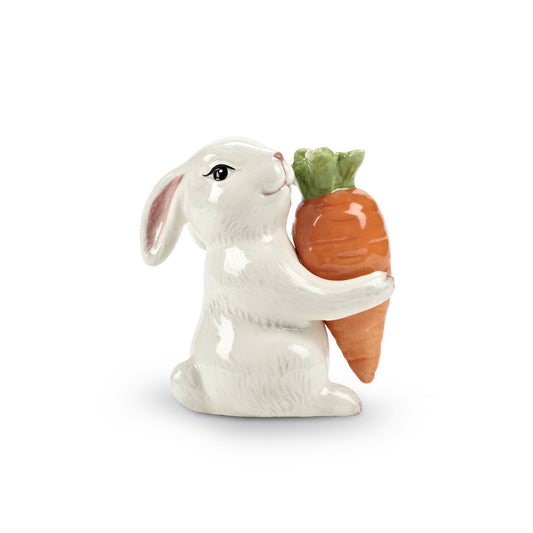 Ensemble S&amp;P lapin et carotte