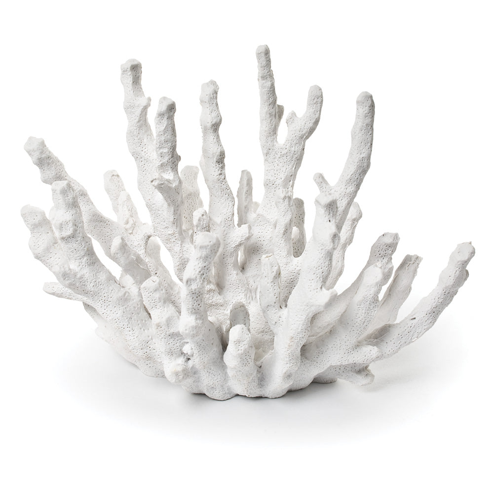 Finger Coral Small