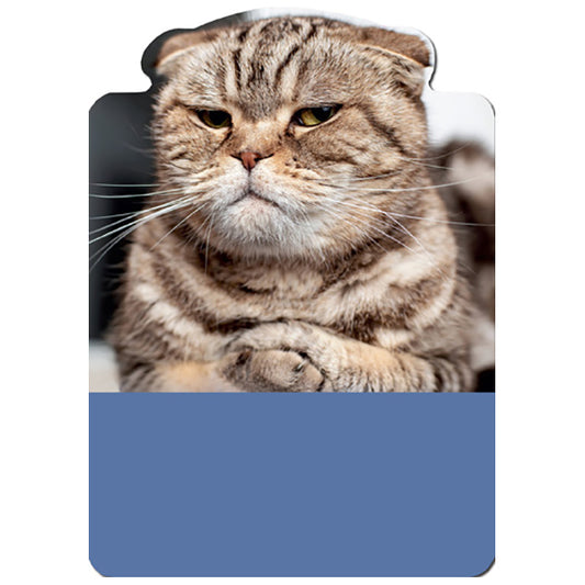 Cat: On Nerves - Birthday Card