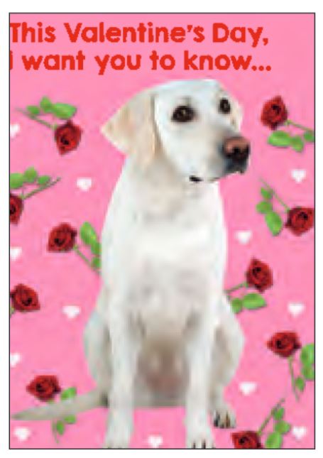 Carte de vœux de la Saint-Valentin labradorable